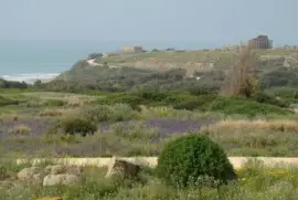 פאזל של Selinunte