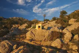 NATUREZA jigsaw puzzle