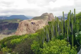 פאזל של gran canaria