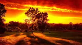 פאזל של Farmer