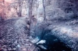 פאזל של Infrared Lade