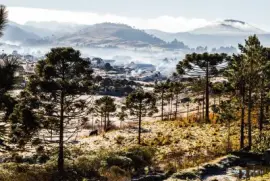 פאזל של imagem