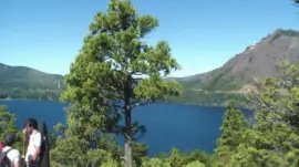 פאזל של Romy80