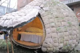 Home Sweet Egg2 jigsaw puzzle