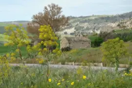 Trabia jigsaw puzzle