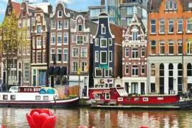 tulipani jigsaw puzzle