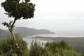 פאזל של Queule