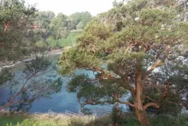 פאזל של Niebla