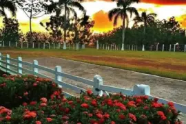 imagem jigsaw puzzle