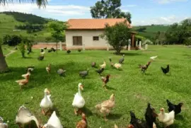 imagem jigsaw puzzle