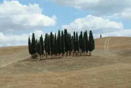 Paesaggio toscano