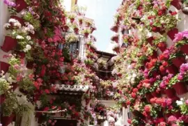 imagem jigsaw puzzle