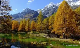 Fall in the mountains