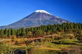 פאזל של imagem