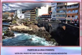 PUERTO DE LA CRUZ (TENERIFE) -VISTA DEL PASEO SAN TELMO jigsaw puzzle