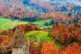 פאזל של imagem