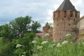 NATUREZA jigsaw puzzle