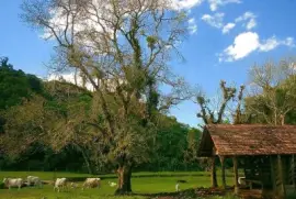 imagem jigsaw puzzle