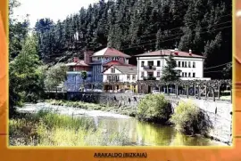 ARAKALDO (BIZKAIA) - Y EL RIO NERVIÃ“N