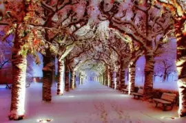 פאזל של imagem