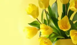 פאזל של Flores Amarillas