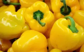 PimentÃ³n Amarillo