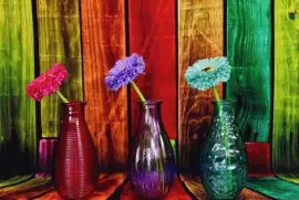 Solitarios con Flores