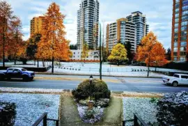 Vancouver - CanadÃ¡ jigsaw puzzle