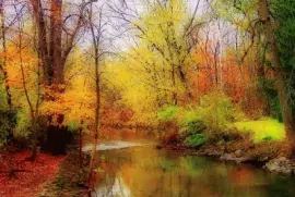 perfet jigsaw puzzle