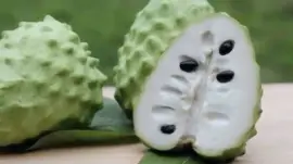 é³³æ¢¨é‡‹è¿¦ jigsaw puzzle