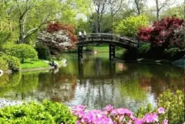 EL JARDIN JAPONES jigsaw puzzle