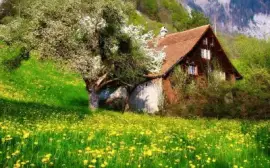 imagem jigsaw puzzle