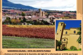 SAMANIEGO (ÃLAVA) â€“ VISTA DEL BONITO PUEBLO