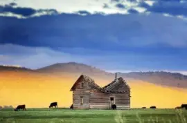 NATUREZA jigsaw puzzle