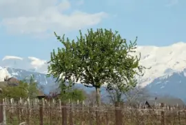 Saint-Pierre d 'Albigny, Savoie