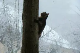 Saint-Pierre d 'Albigny, Savoie