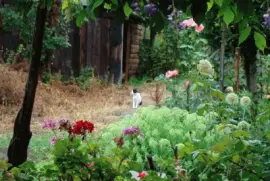 Saint-Pierre d 'Albigny, Savoie