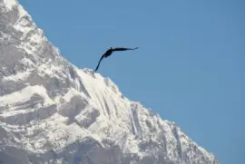 Saint-Jean de la Porte, Savoie