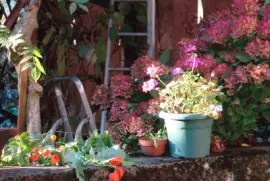 Saint-Pierre d 'Albigny, Savoie