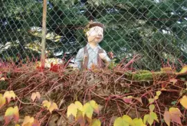 Saint-Pierre d 'Albigny, Savoie