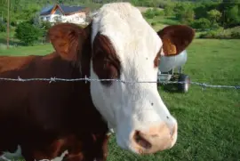 Saint-Pierre d 'Albigny, Savoie