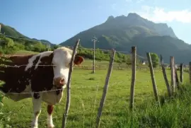 Saint-Pierre d 'Albigny, Savoie