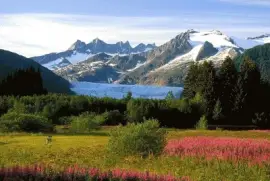 NATUREZA jigsaw puzzle