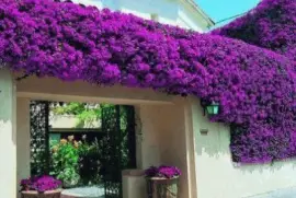 Lugares MÃ gicos !!!