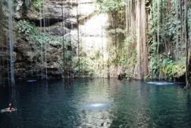 Cenote, YucatÃ¡n. jigsaw puzzle