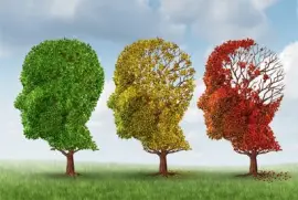 æµªæ¼« jigsaw puzzle