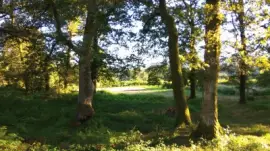 varios jigsaw puzzle