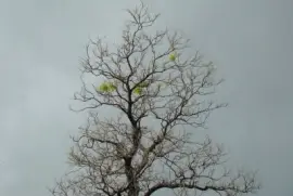 Sauveterre, Gard, France jigsaw puzzle