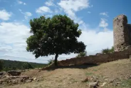 Camp de CÃ©sar, Gard, France jigsaw puzzle
