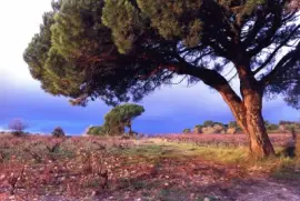 Lirac, Gard, France jigsaw puzzle